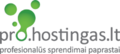 hostingas.lt 2026 Logo